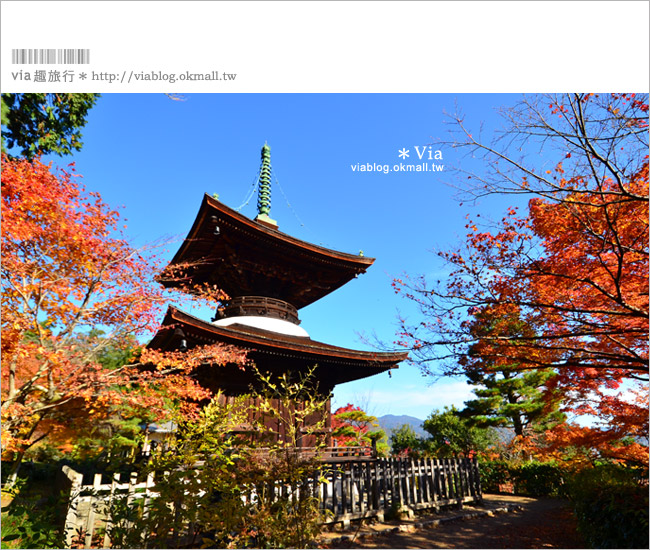 京都賞楓推薦》京都常寂光寺～一生必去一次的賞楓景點！